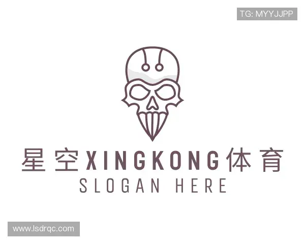 了解xingkong.com